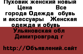 Пуховик женский новый › Цена ­ 2 600 - Все города Одежда, обувь и аксессуары » Женская одежда и обувь   . Ульяновская обл.,Димитровград г.